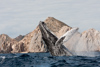 Los Cabos